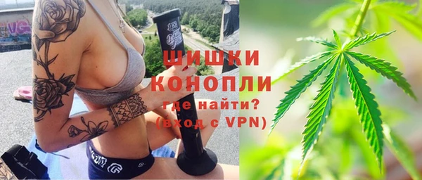 крисы Бронницы