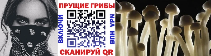 Псилоцибиновые грибы мухоморы  Макаров 